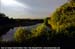 Evening Light at the Mangroves