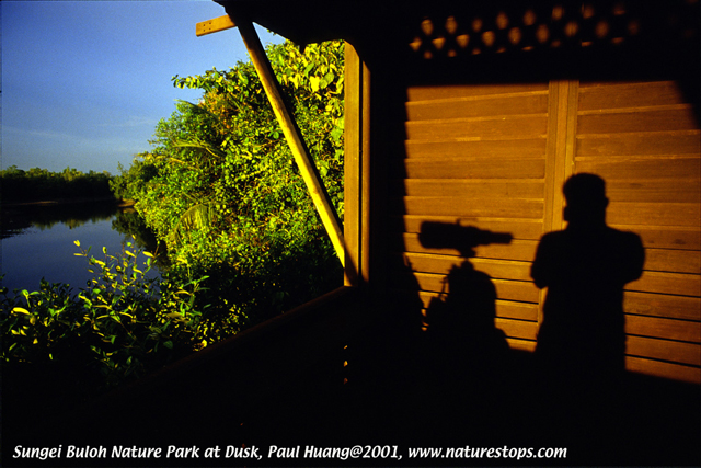 Click to view the next photo

photographer Paul Huang. 
