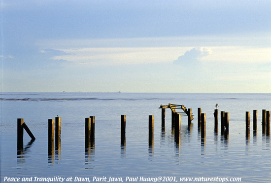 Click to view the next photo

photographer Paul Huang. 