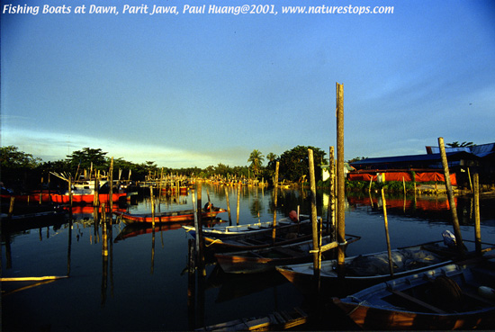 Click to view the next photo

photographer Paul Huang. 