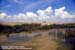 Marshes