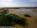 Marshland