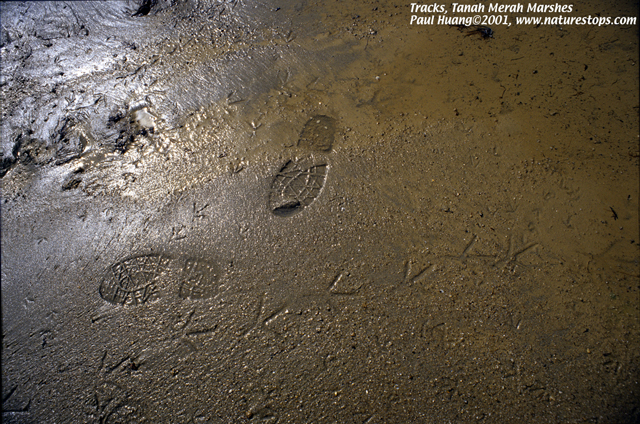 Leave nothing but footprints